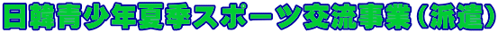 日韓青少年夏季スポーツ交流事業(派遣)